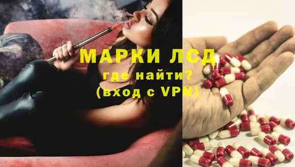 эйфоретик Елизово