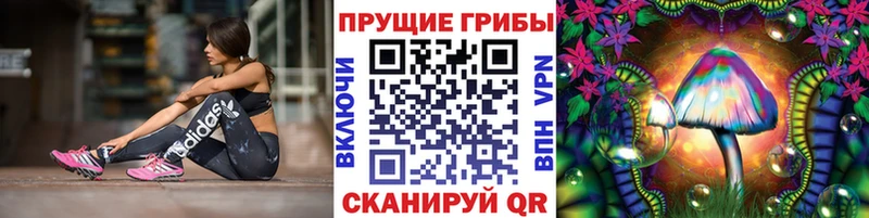 Псилоцибиновые грибы ЛСД  продажа наркотиков  Копейск 